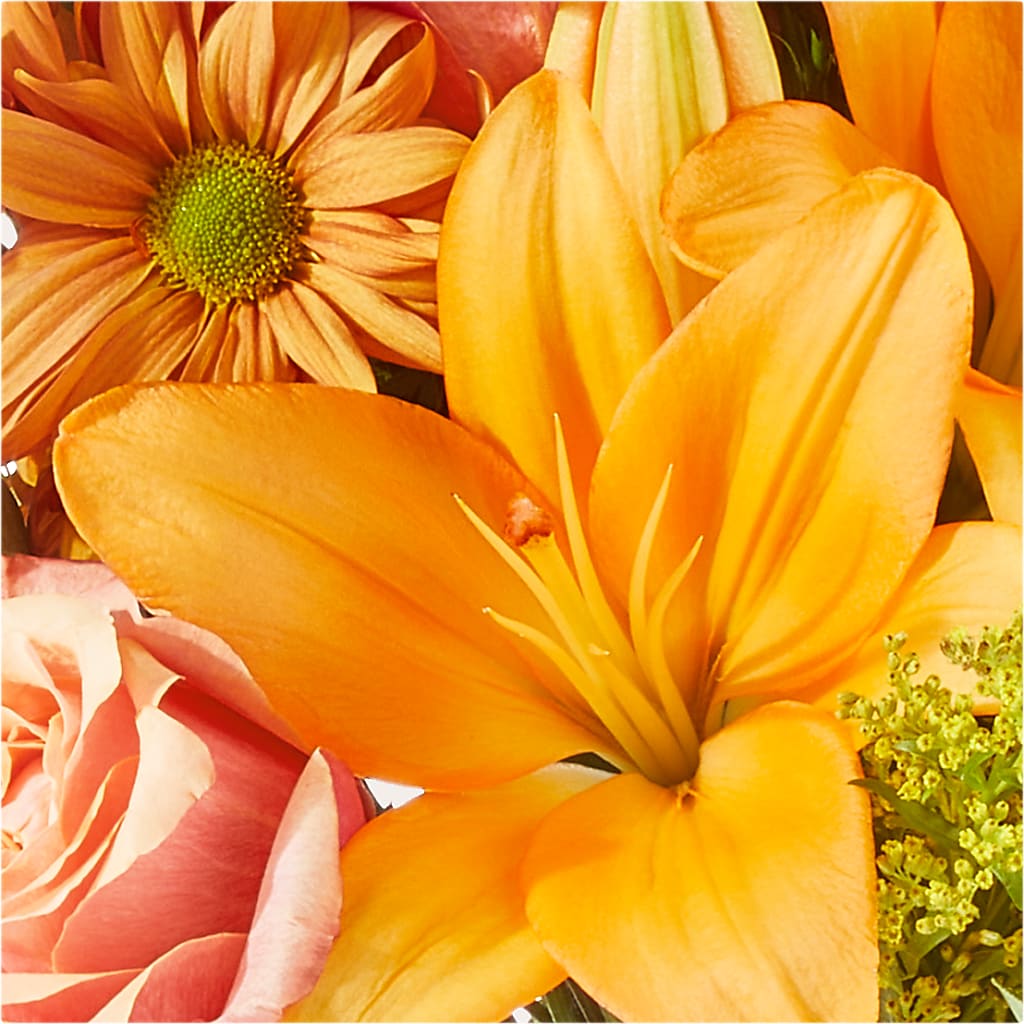 Harvest Hayride Bouquet –  Qfc, Seattle WA