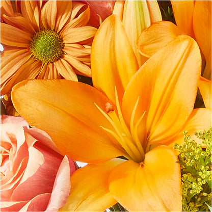 Harvest Hayride Bouquet –  Qfc, Seattle WA