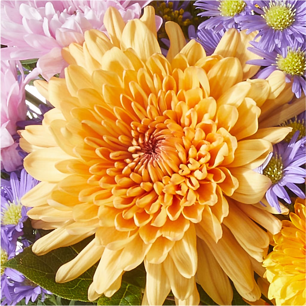 Countryside Bouquet –  Qfc, Seattle WA