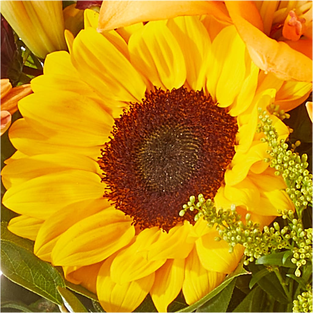 Seasons Change Bouquet –  Qfc, Seattle WA