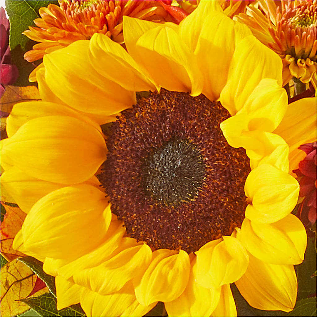 Sunny Side Bouquet –  Qfc, Seattle WA