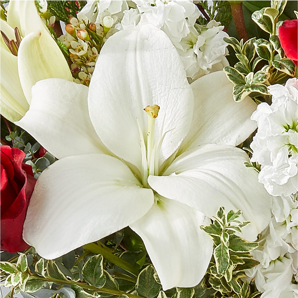 Twinkle Lights Bouquet –  Qfc, Seattle WA