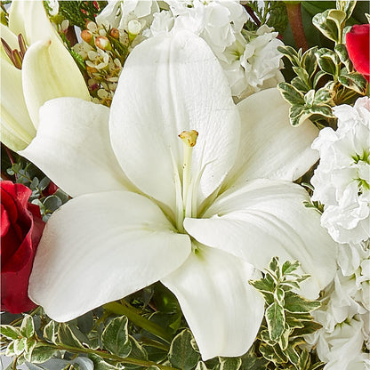 Twinkle Lights Bouquet –  Qfc, Seattle WA