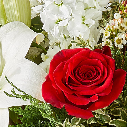 Twinkle Lights Bouquet –  Qfc, Seattle WA