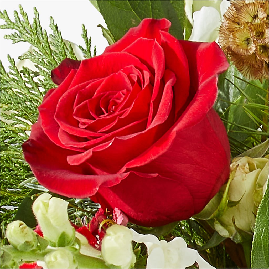 Deck the Halls Bouquet –  Qfc, Seattle WA