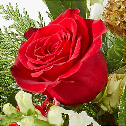 Deck the Halls Bouquet –  Qfc, Seattle WA