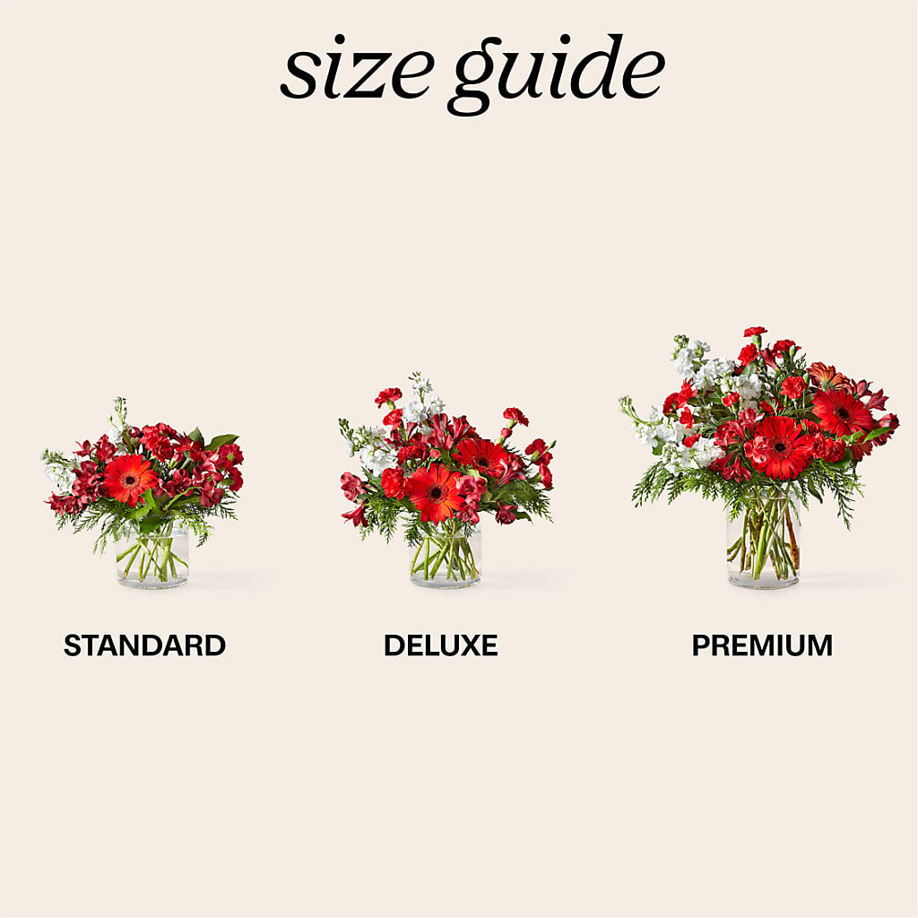 Holidaisy Bouquet –  Qfc, Seattle WA