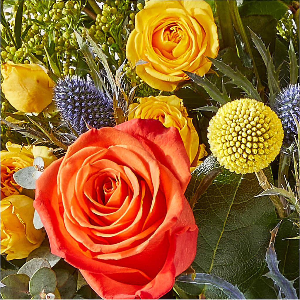 Disco Bouquet –  Qfc, Seattle WA