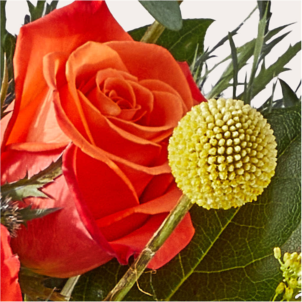 Disco Bouquet –  Qfc, Seattle WA