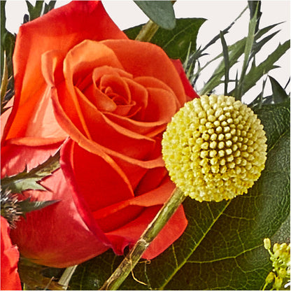 Disco Bouquet –  Qfc, Seattle WA