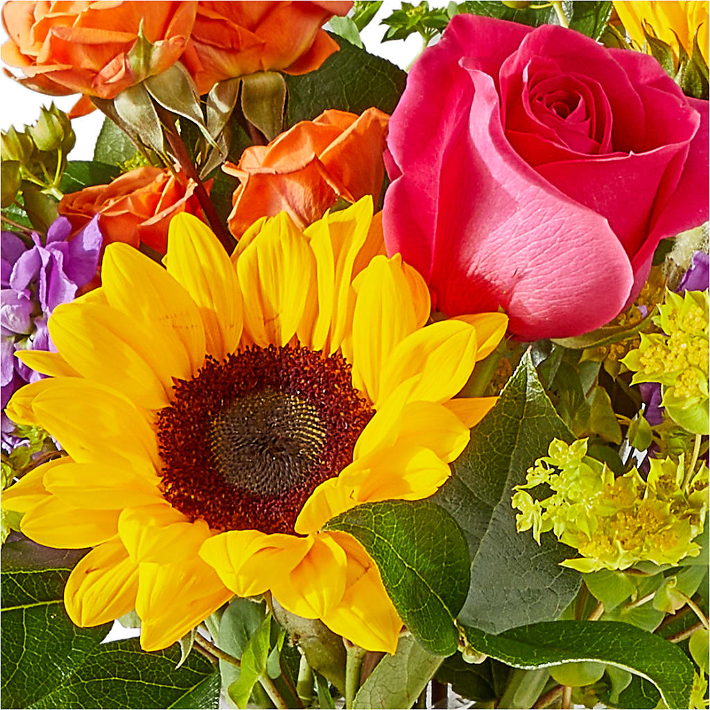 Vibrant Greetings Bouquet –  Qfc, Seattle WA