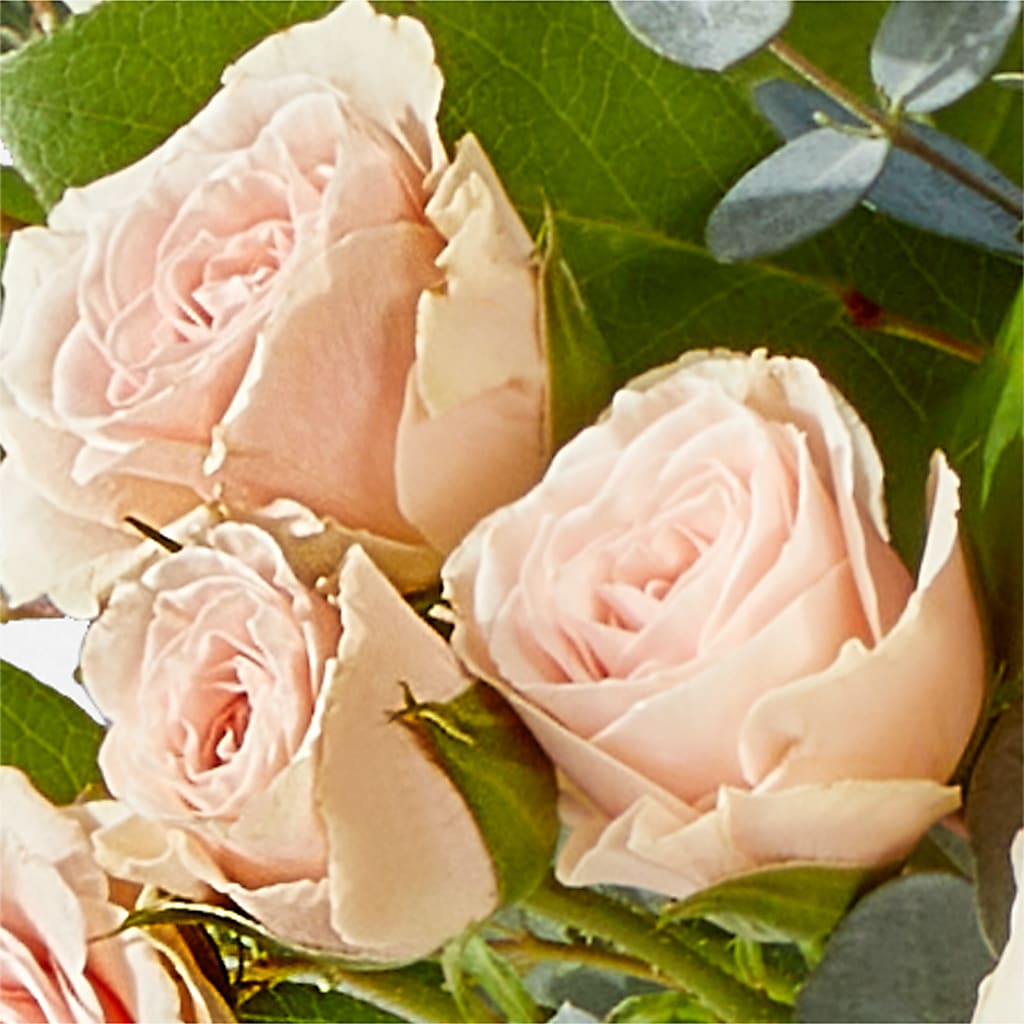 Inspired Bouquet –  Qfc, Seattle WA