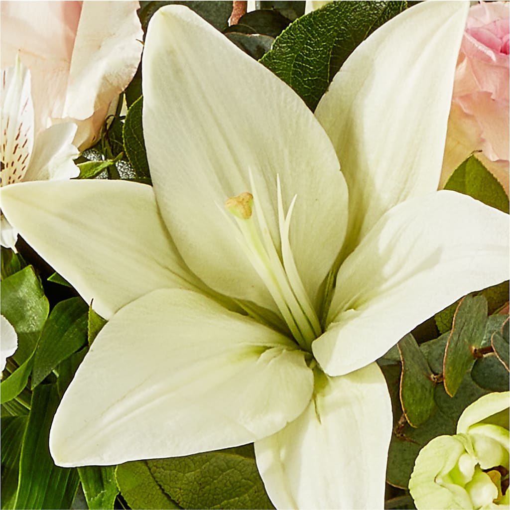 Ballet Slippers Bouquet –  Qfc, Seattle WA