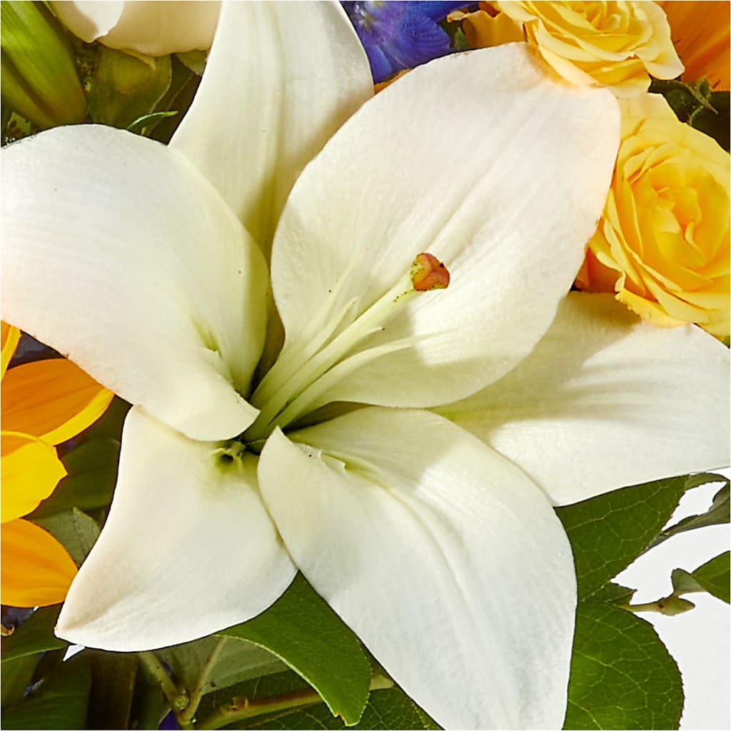 Wonderfully Sunny Bouquet –  Qfc, Seattle WA
