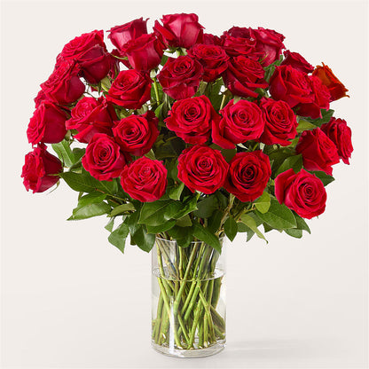 The One Red Rose Bouquet –  Qfc, Seattle WA