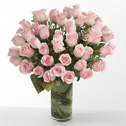 Pink Essence –  Qfc, Seattle WA