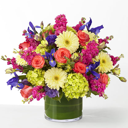 The Couture –  Qfc, Seattle WA