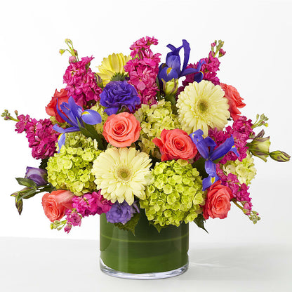 The Couture –  Qfc, Seattle WA